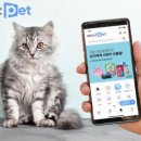 어바웃도그 이미지