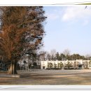 흥왕초등학교 이미지