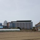 부산강서고등학교 이미지