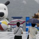 대서광장 이미지