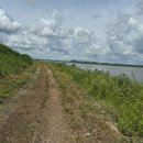 대교배수펌프장 이미지