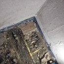 태평세탁 이미지