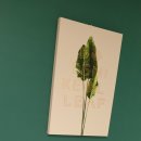 박스호텔 이미지