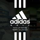 아디다스골프청담 이미지