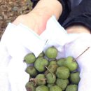 탑곡농장 이미지