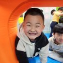 용인대 다정태권도 | [관교용인대태권도장] 몸과 정신을 단련하는 태권도 교육