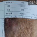 노벨요양병원 | 요양병원 욕창 치료와 이지에프(EGF) 스프레이 적용 효과