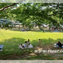 곡성-054 이미지