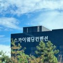목포 스카이웨딩홀컨벤션 노빌리스홀 하객 후기/ 어두운홀