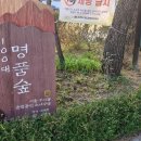 솔밭쉼터 | 서울 강북구 우이동 솔밭공원 나들이 갔습니다.