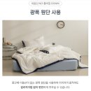 포인트라인