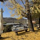 월항면 면사무소앞-우 | [🍁𝐃𝐀𝐈𝐋𝐘🍂] 파주 나들이 : 완벽 코스 추천 / 마롱리면사무소 / 파주 신세계 아울렛 / 초원오리농장
