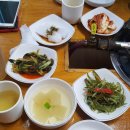 현대물텀벙이 이미지