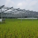 태양2농장 이미지