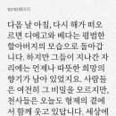 베다