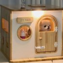 솔솔애견유치원 이미지