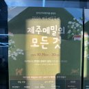 와흘법인