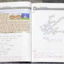 초등저학년수학지도과정 이미지