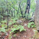 북면 한계리 한계령 정상 ~ 장수대(장수4교) | 설악산 숨은산성 &#34;한계산성&#34; 설악산의 숨은 비경