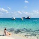 (주)샤크 | 몰디브 스노쿨링 널스샤크 투어 고래상어 포인트 | 프리다이빙 후기