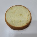 pit a pet (핏어펫) 이미지