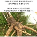 길경영농조합법인
