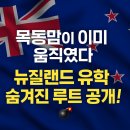 목동 유학원 | 목동맘 사이에서만 돌던 유학 루트, 이제 공개합니다!