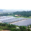 평화5태양광발전소 이미지