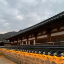 서고앤휴 이미지