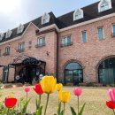 키즈리베어린이집 이미지