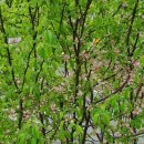 준피부과의원 이미지