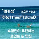 정 ‘S 커피앤정 ‘S 식당 | 🇦🇺호주,퍼스) 수영인이 추천하는 쿼카섬 스팟&amp;맛집! Rottnest Island
