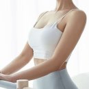 필라펠리스 이미지