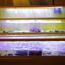 용산-351 이미지