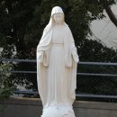 반석건축사사무소 이미지