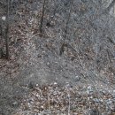 삼성1리 이미지