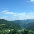 티하우스키즈펜션 | 충청도 여행, 5박 6일 여행코스, 경비, 맛집 10곳 추천 (애견카페)