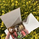 서면 마카롱) 전포 브로쓰마카롱 내돈내산 후기+서면시민공원 유채꽃