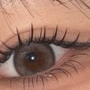 울산 이승진동물병원 이미지