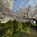 삼익비치B상가시장 이미지