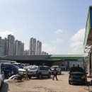 대별모터스 이미지