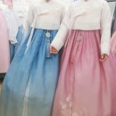 백조주단 - 부안군 부풍로 43 | 백조주단