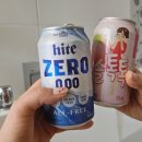 사우스마린스파펜션 이미지