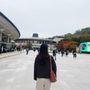 서초남부점현대자동차 | 키릴 페트렌코 &amp; 베를린 필하모닉 공연 후기🎻 예술의전당 콘서트홀