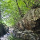 물한계곡 소나무펜션 이미지