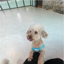 노케이지 네이버블로그