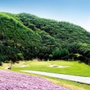 신원대로-3 이미지