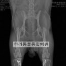 희망종합동물병원 이미지