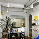 밤스(BAM'S) 강아지 미용실 이미지