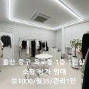 부동산중개청량 이미지